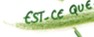 est-ce que