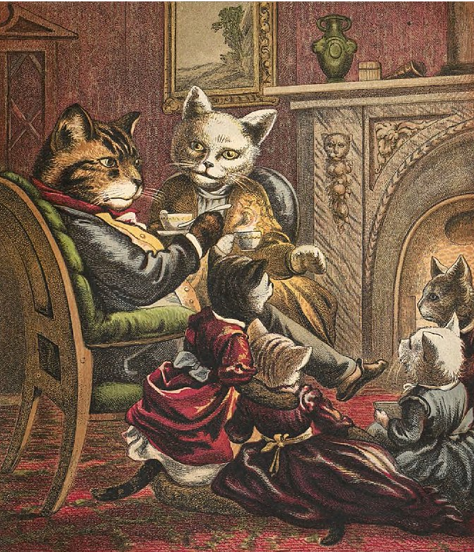 Une soirée dans le monde des chats